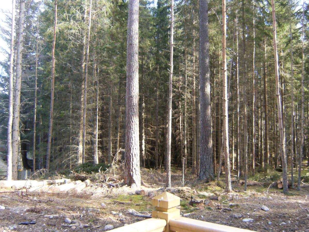 Cairngorm Lodges Aboyne Exteriér fotografie