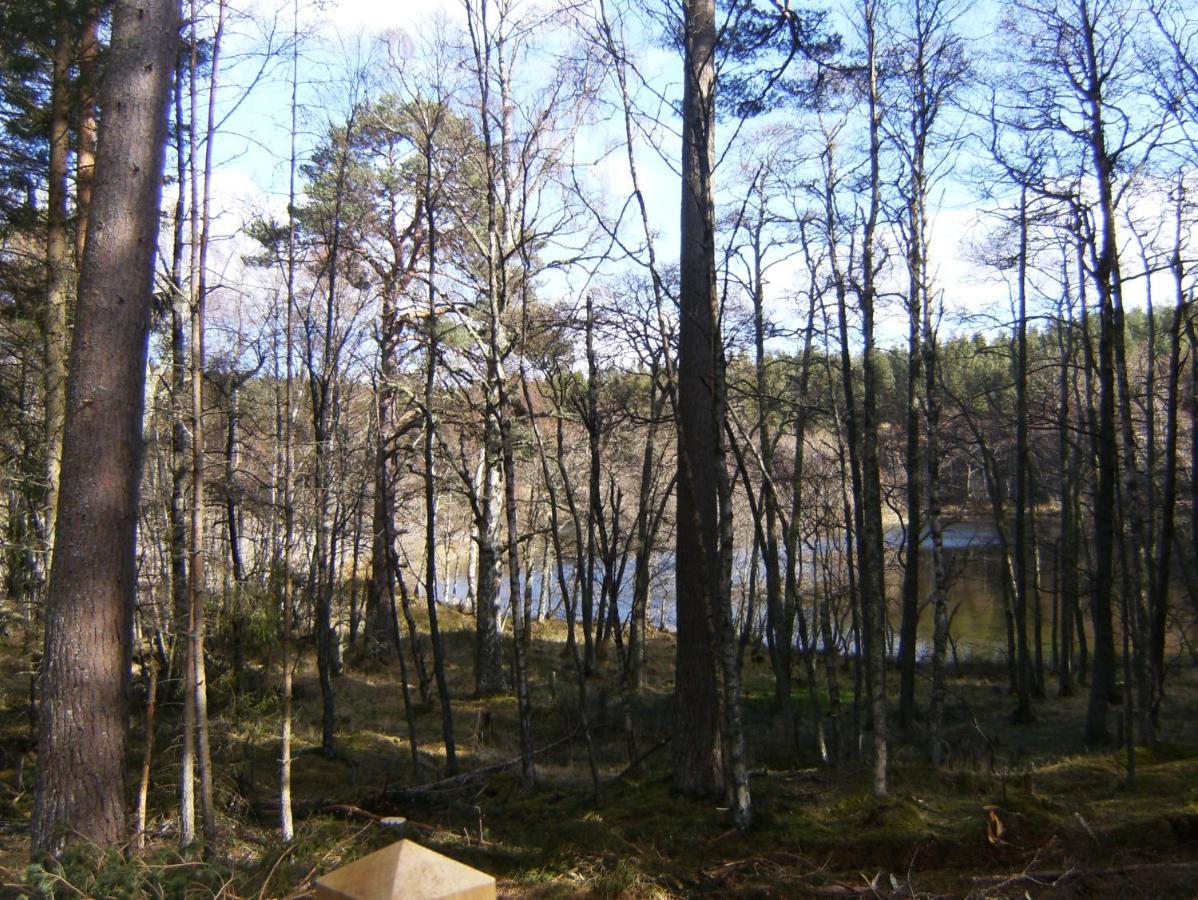 Cairngorm Lodges Aboyne Exteriér fotografie
