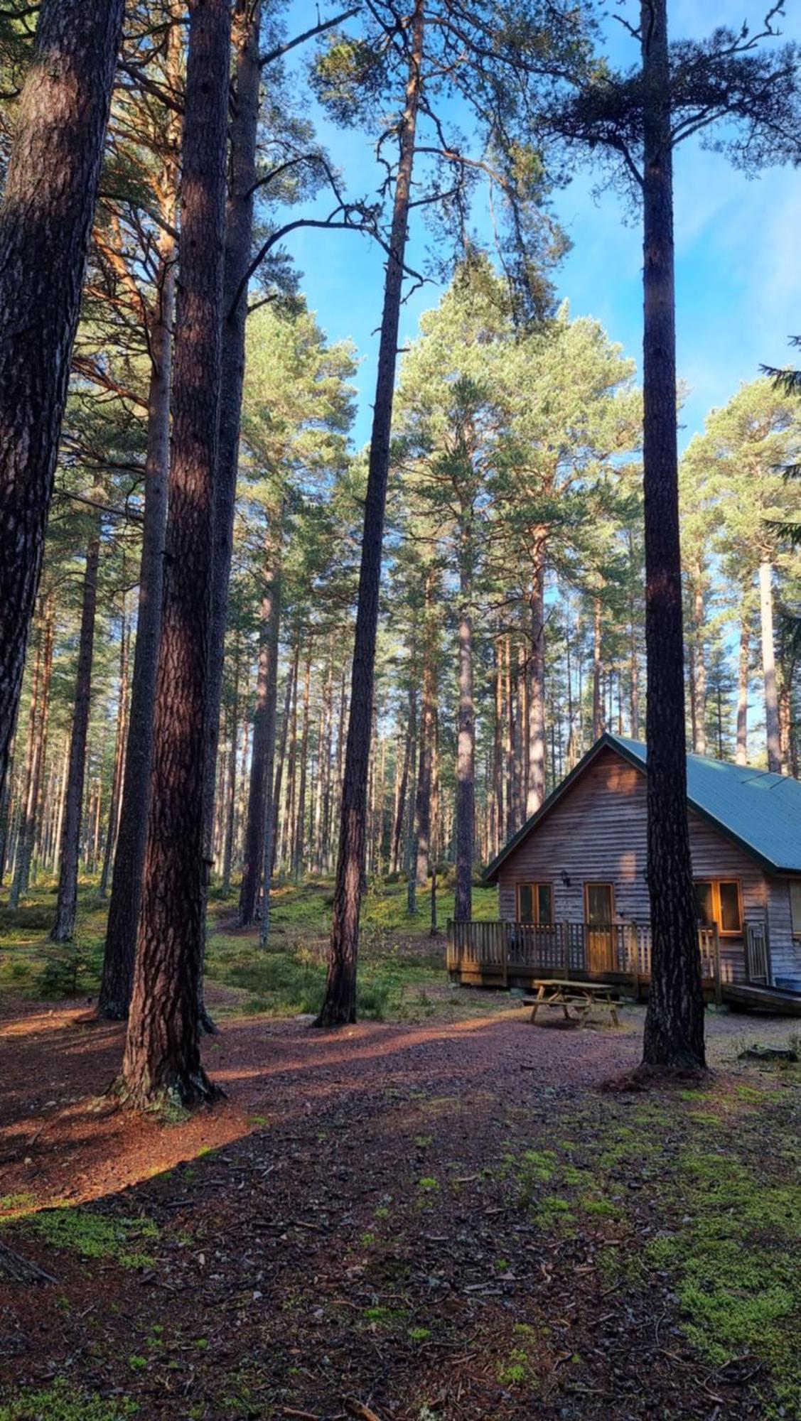 Cairngorm Lodges Aboyne Exteriér fotografie