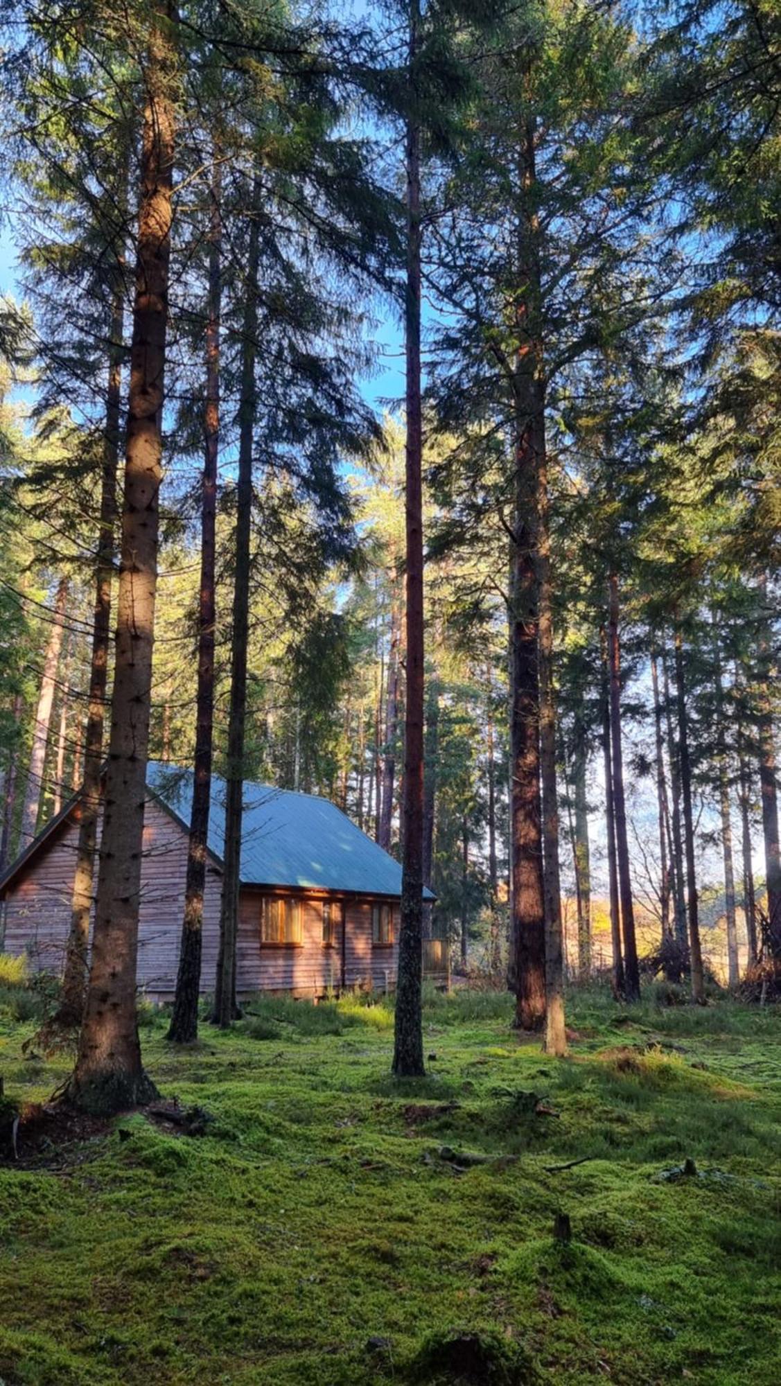 Cairngorm Lodges Aboyne Exteriér fotografie