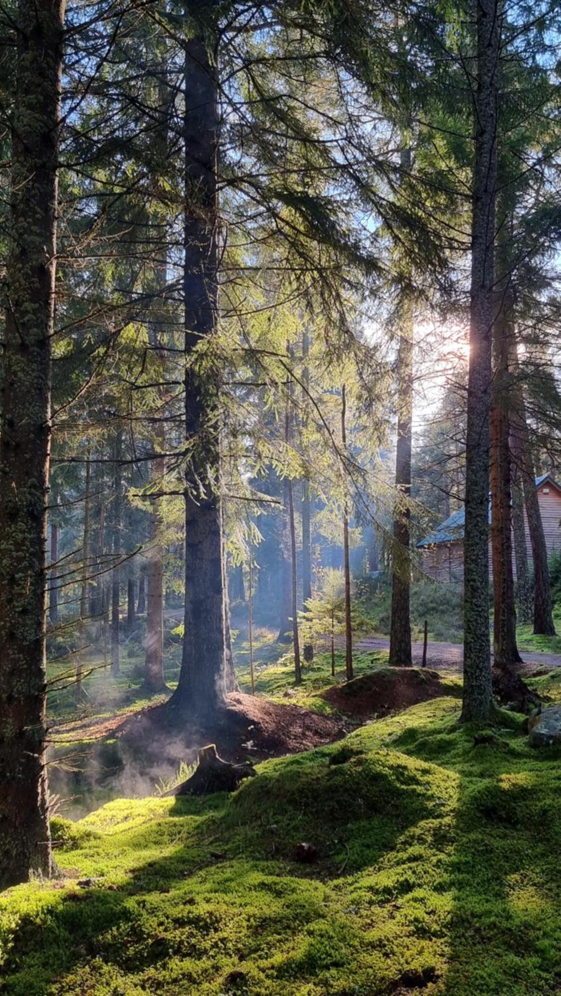 Cairngorm Lodges Aboyne Exteriér fotografie