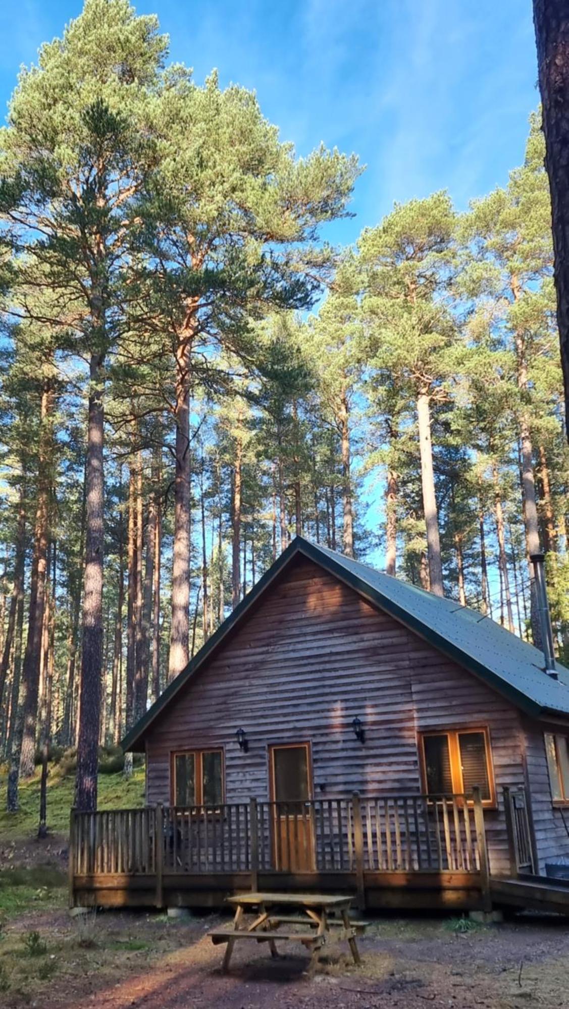 Cairngorm Lodges Aboyne Exteriér fotografie