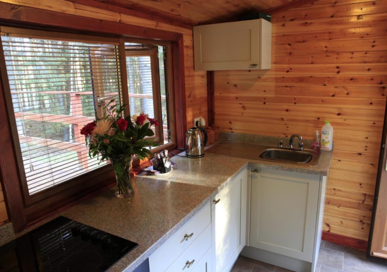 Cairngorm Lodges Aboyne Exteriér fotografie